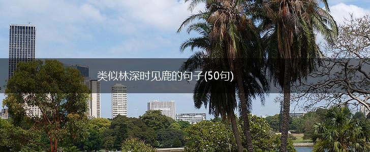 类似林深时见鹿的句子(50句),第1张