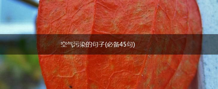 空气污染的句子(必备45句),第1张