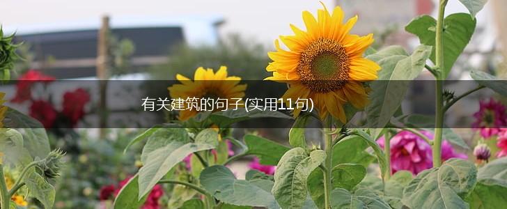 有关建筑的句子(实用11句),第1张