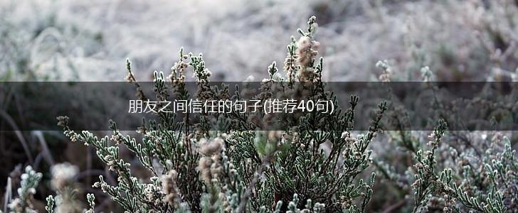朋友之间信任的句子(推荐40句),第1张