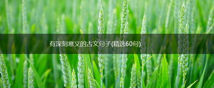 有深刻意义的古文句子(精选60句),第1张