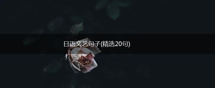 日语文艺句子(精选20句),第1张