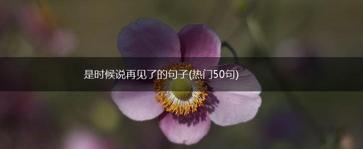 是时候说再见了的句子(热门50句),第1张