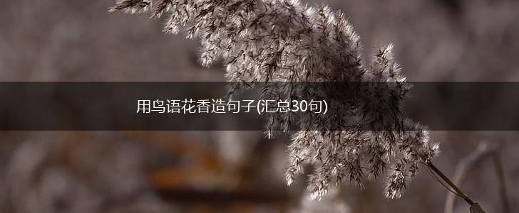 用鸟语花香造句子(汇总30句),第1张