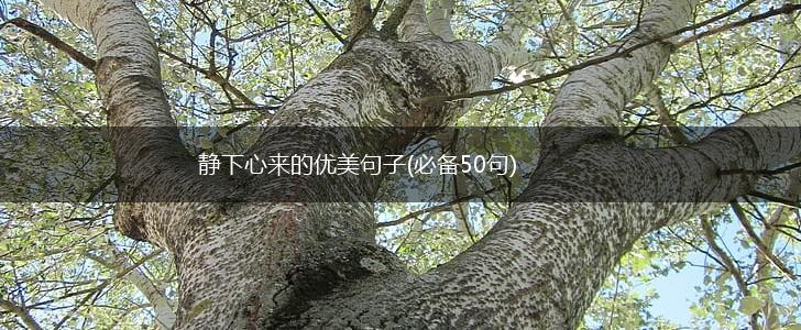 静下心来的优美句子(必备50句),第1张