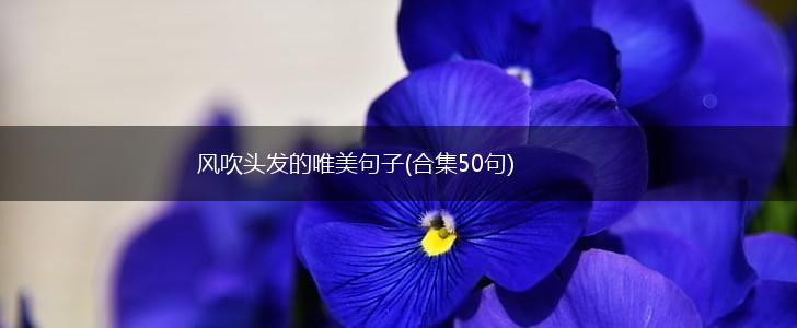 风吹头发的唯美句子(合集50句),第1张