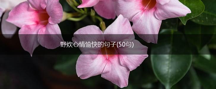 野炊心情愉快的句子(50句),第1张 野炊心情愉快的句子(50句),第1张