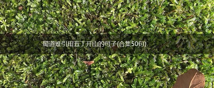 蜀道难引用五丁开山的句子(合集50句),第1张