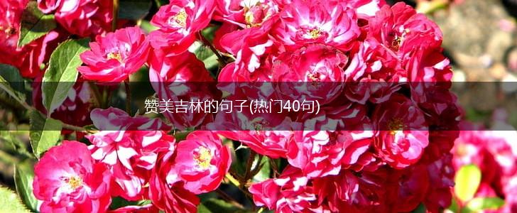 赞美吉林的句子(热门40句),第1张