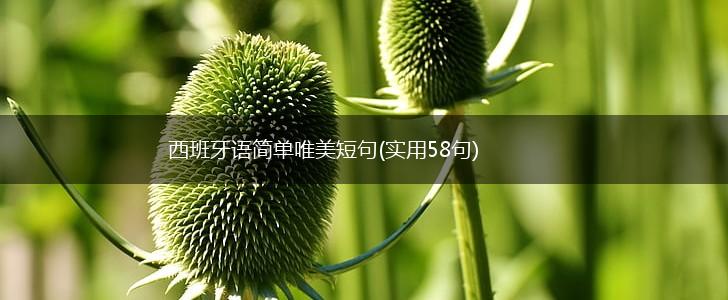 西班牙语简单唯美短句(实用58句),第1张