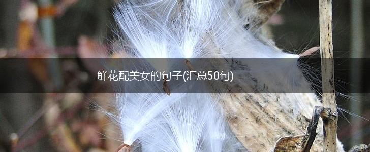 鲜花配美女的句子(汇总50句),第1张