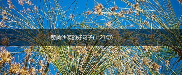 赞美沙漠的好句子(共21句),第1张