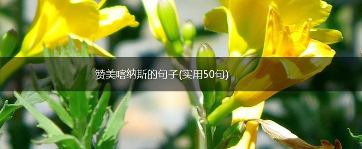 赞美喀纳斯的句子(实用50句),第1张