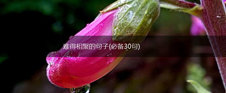 难得相聚的句子(必备30句),第1张