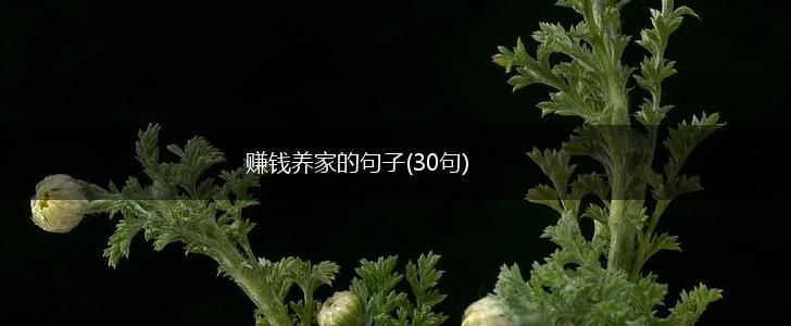 赚钱养家的句子(30句),第1张