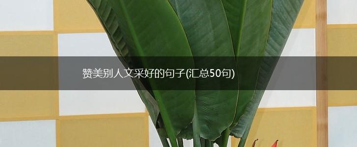 赞美别人文采好的句子(汇总50句),第1张 赞美别人文采好的句子(汇总50句),第1张