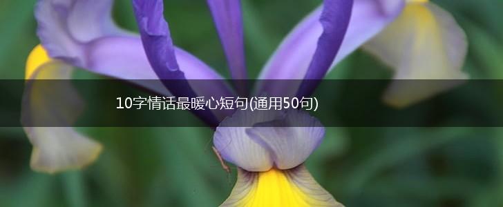 10字情话最暖心短句(通用50句),第1张 10字情话最暖心短句(通用50句),第1张