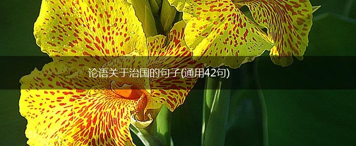论语关于治国的句子(通用42句),第1张