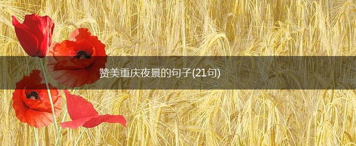 赞美重庆夜景的句子(21句),第1张