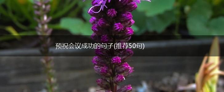 预祝会议成功的句子(推荐50句),第1张