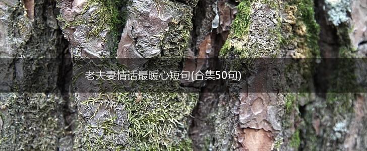 老夫妻情话最暖心短句(合集50句),第1张