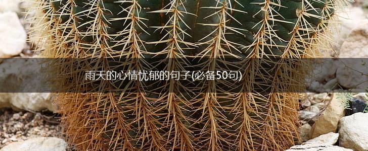 雨天的心情忧郁的句子(必备50句),第1张