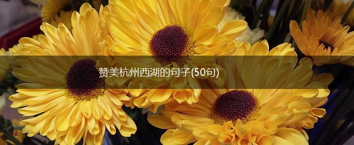赞美杭州西湖的句子(50句),第1张