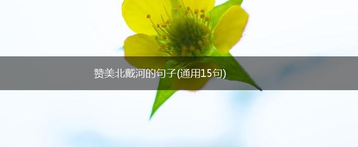 赞美北戴河的句子(通用15句),第1张