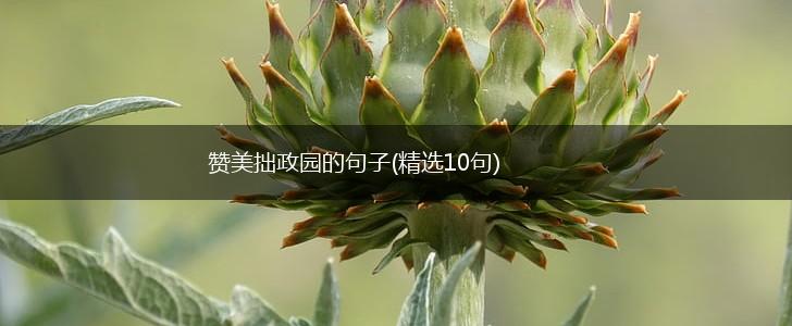 赞美拙政园的句子(精选10句),第1张