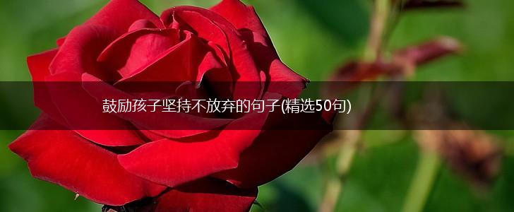 鼓励孩子坚持不放弃的句子(精选50句),第1张