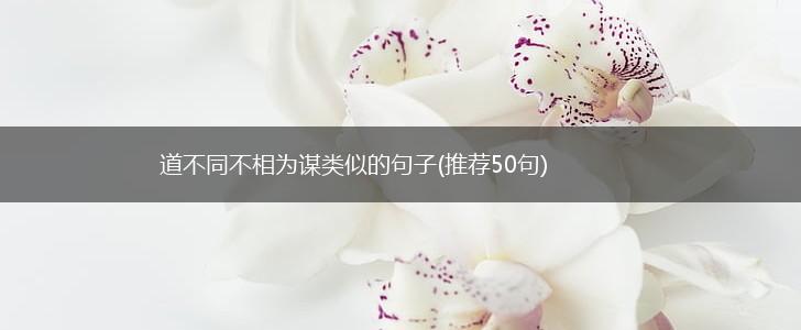 道不同不相为谋类似的句子(推荐50句),第1张