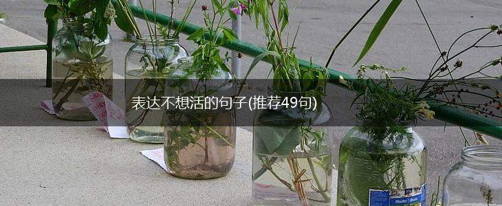 表达不想活的句子(推荐49句),第1张