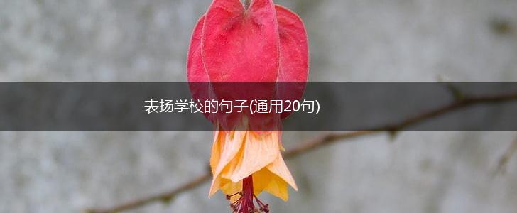表扬学校的句子(通用20句),第1张