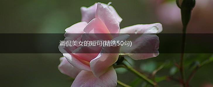 调侃美女的短句(精选50句),第1张