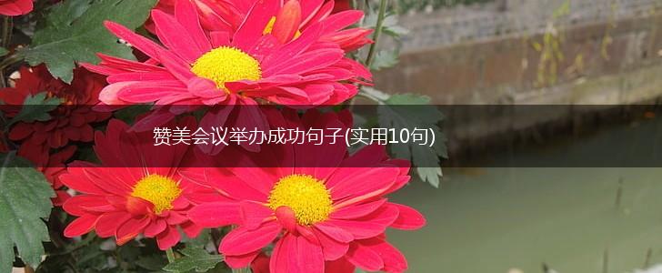 赞美会议举办成功句子(实用10句),第1张