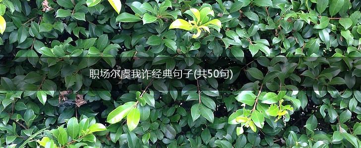 职场尔虞我诈经典句子(共50句),第1张