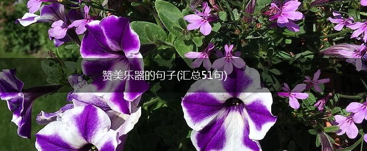 赞美乐器的句子(汇总51句),第1张