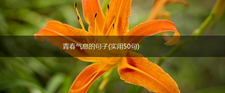青春气息的句子(实用50句),第1张