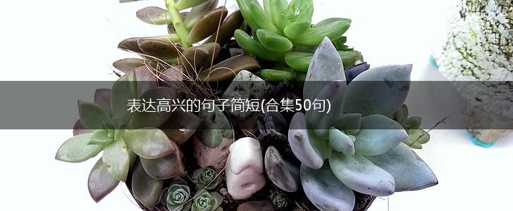 表达高兴的句子简短(合集50句),第1张