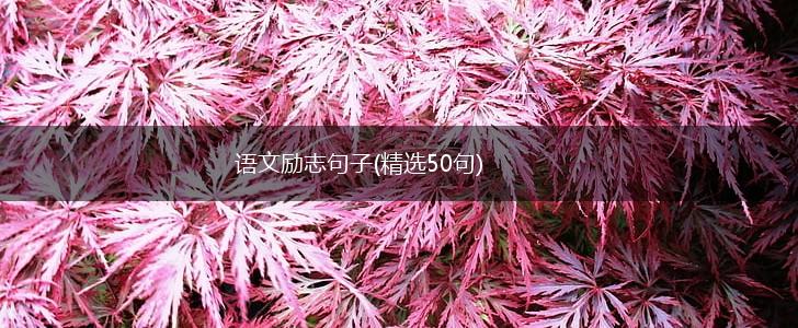 语文励志句子(精选50句),第1张 语文励志句子(精选50句),第1张