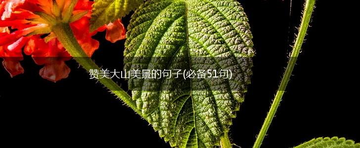 赞美大山美景的句子(必备51句),第1张