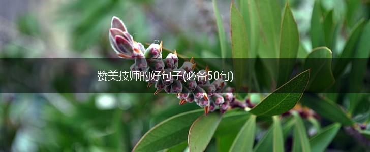 赞美技师的好句子(必备50句),第1张