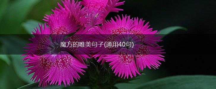 魔方的唯美句子(通用40句),第1张