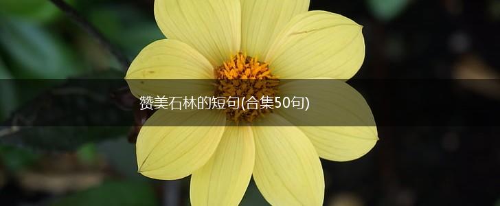 赞美石林的短句(合集50句),第1张
