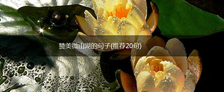 赞美微山湖的句子(推荐20句),第1张
