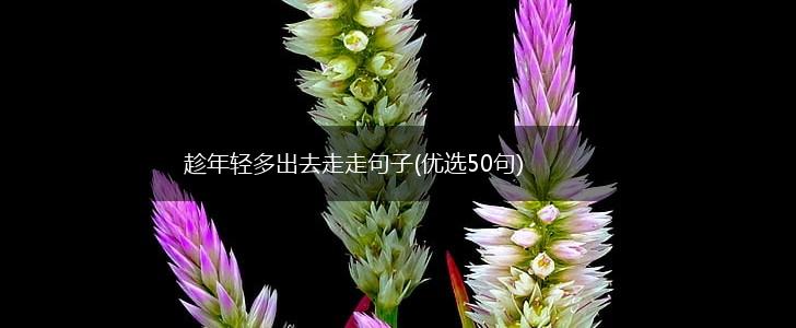 趁年轻多出去走走句子(优选50句),第1张