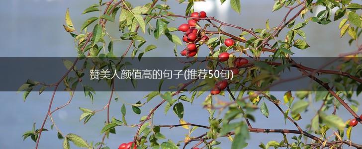 赞美人颜值高的句子(推荐50句),第1张