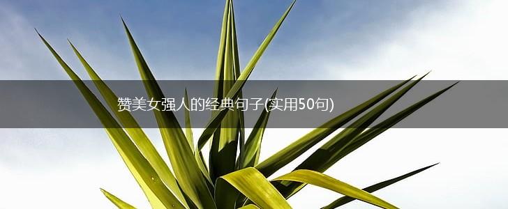赞美女强人的经典句子(实用50句),第1张