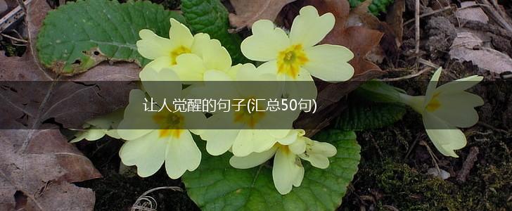 让人觉醒的句子(汇总50句),第1张 让人觉醒的句子(汇总50句),第1张