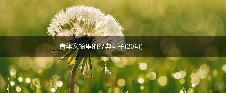 青年文摘里的经典句子(20句),第1张